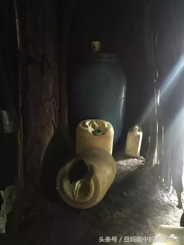 风动？树动？心动！致你，Kenya