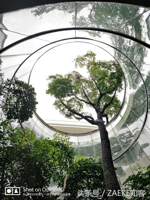 一加手机5评测,一加5评测吃鸡