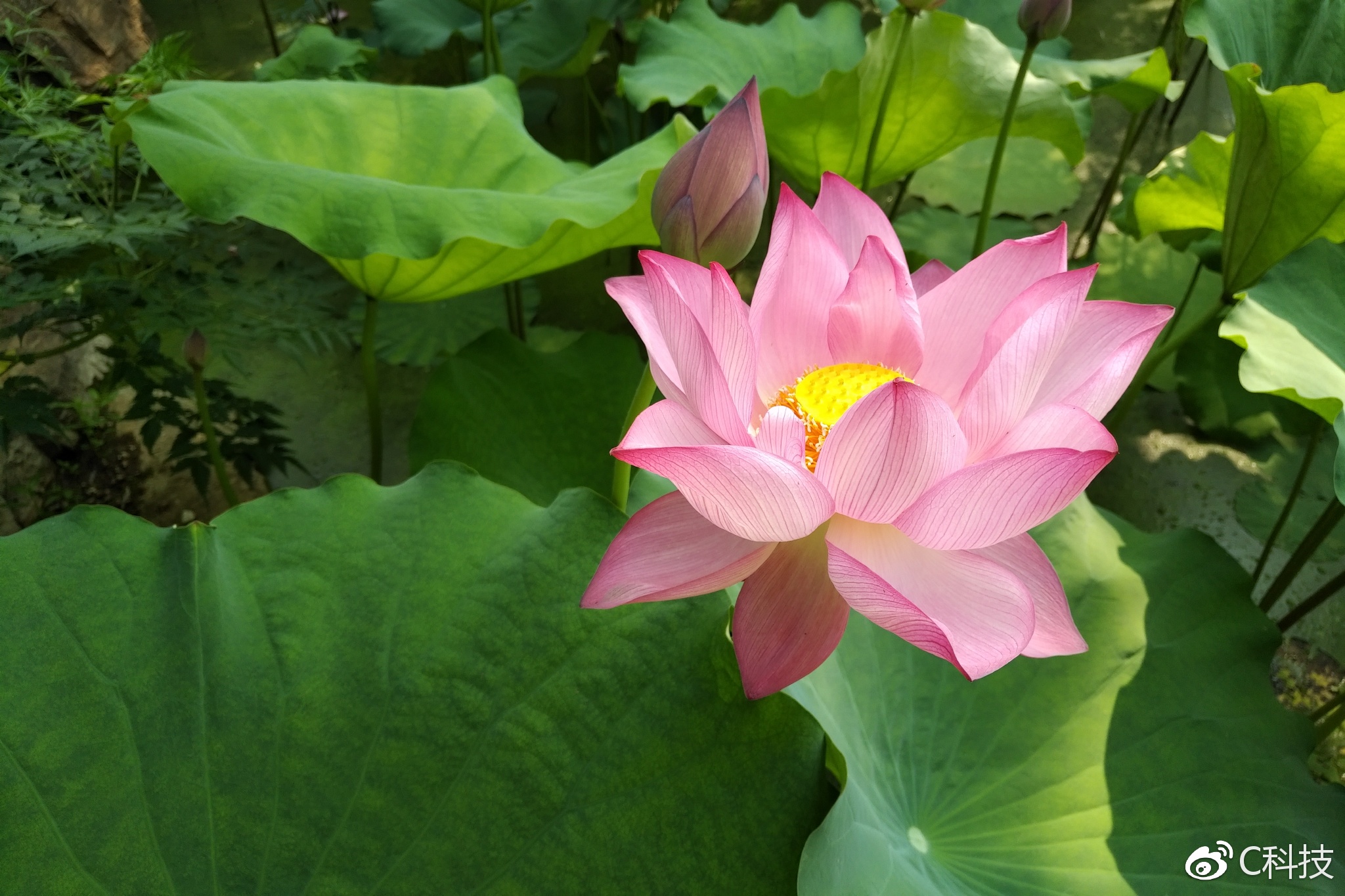 当安全、商务遇见Android国行黑莓KEYone评测