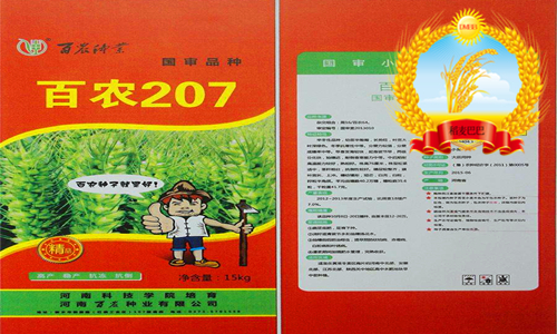 小麦品种百农307特点是什么,小麦品种百农207产量如何