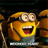 在荷兰真实感受,在荷兰两年的感受