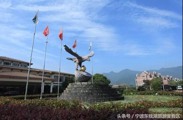 怎么形容高尔夫打得好专业术语,高尔夫英语专业术语