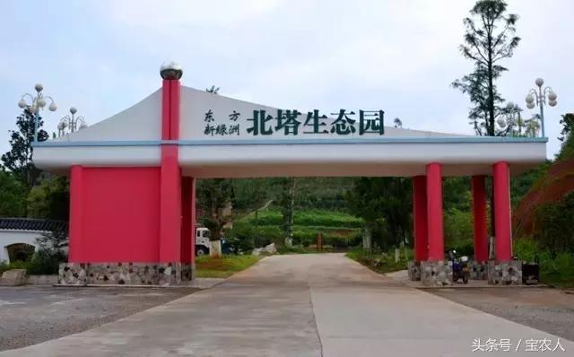 云雾缭绕人间仙境邵阳周边游,邵阳周末一日游景点推荐