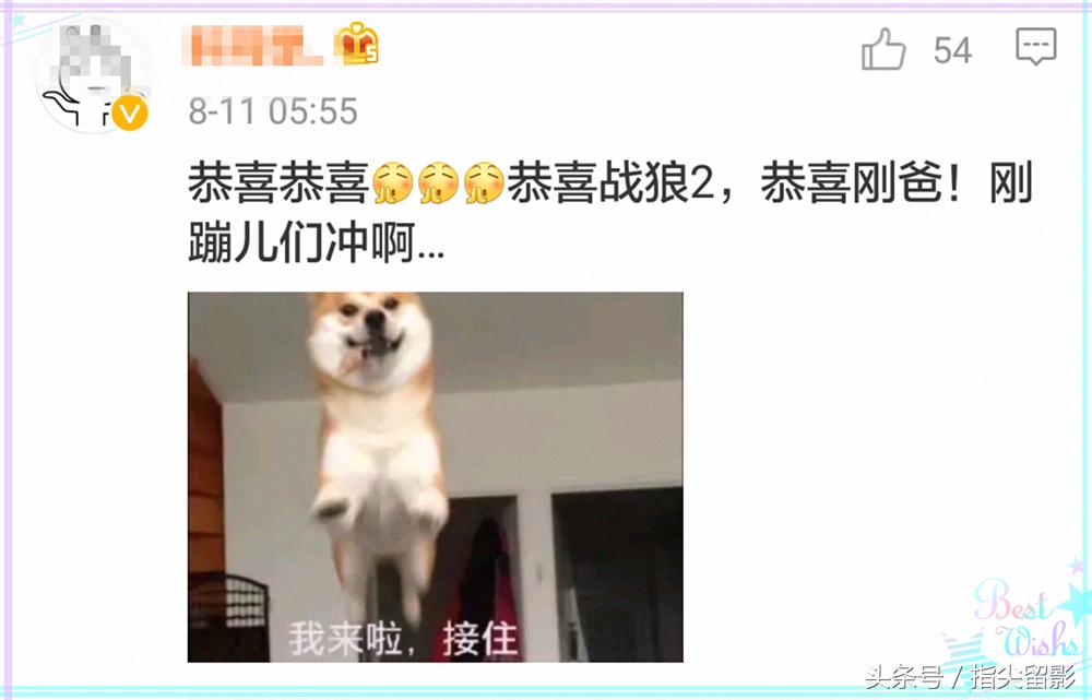 丁海峰战狼3,丁海峰吴刚