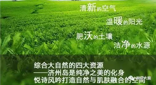 黑头白头能有效去除吗,一涂黑头就冒出来的面膜