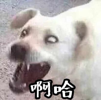 大J神:大一新生和大二学姐开学后不可描述的聊天记录