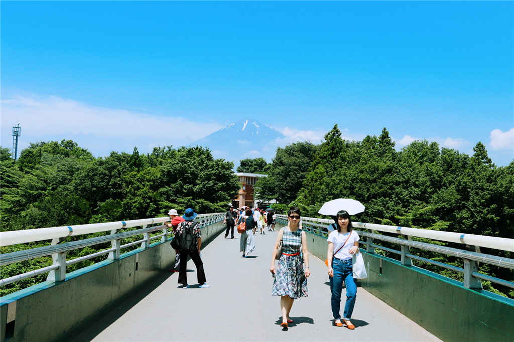 丽星邮轮8天7晚自由行攻略,丽星邮轮双子星号日本攻略