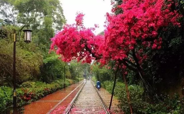 厦门放松养生,厦门放松的民宿