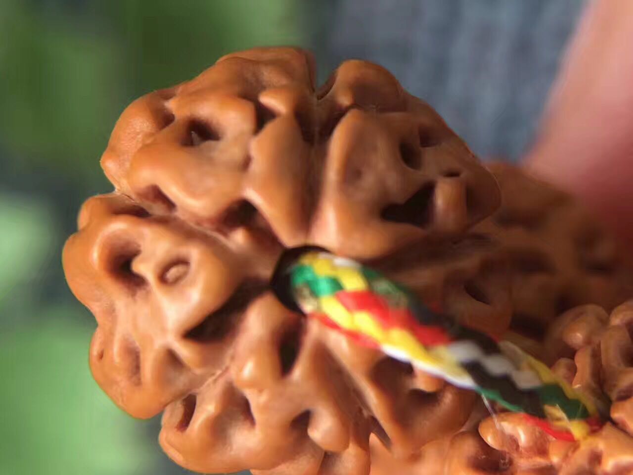 史上最全的小金刚菩提子介绍,再也不用担心被忽悠了!