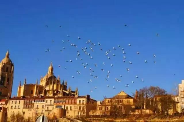 移民这几年我经历了哪些蜕变,移民不后悔的真实经历