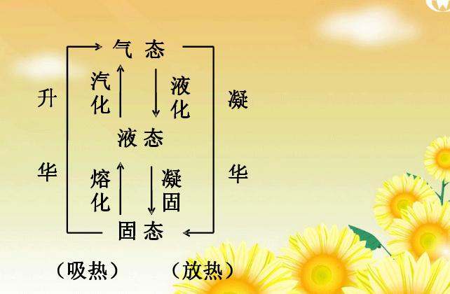 八下物理复习知识点总结,初二物理期末复习知识点