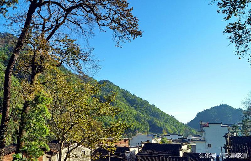 婺源第一名,婺源茶叶第一名