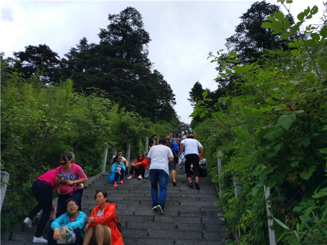 近期神农架自驾游攻略,2020年6月神农架大九湖自驾游攻略