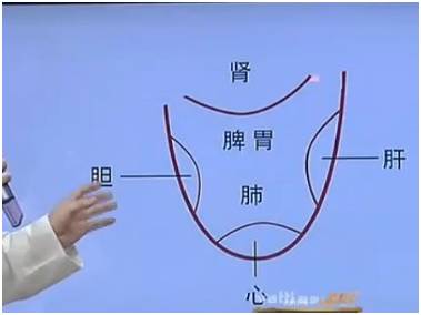 舌头是隐藏黑暗力量的钥匙，把舌头伸出来，跟着ZK叔学中医~
