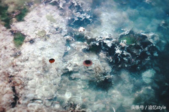 日本适合一个人散心的地方,日本有哪些值得思考的地方