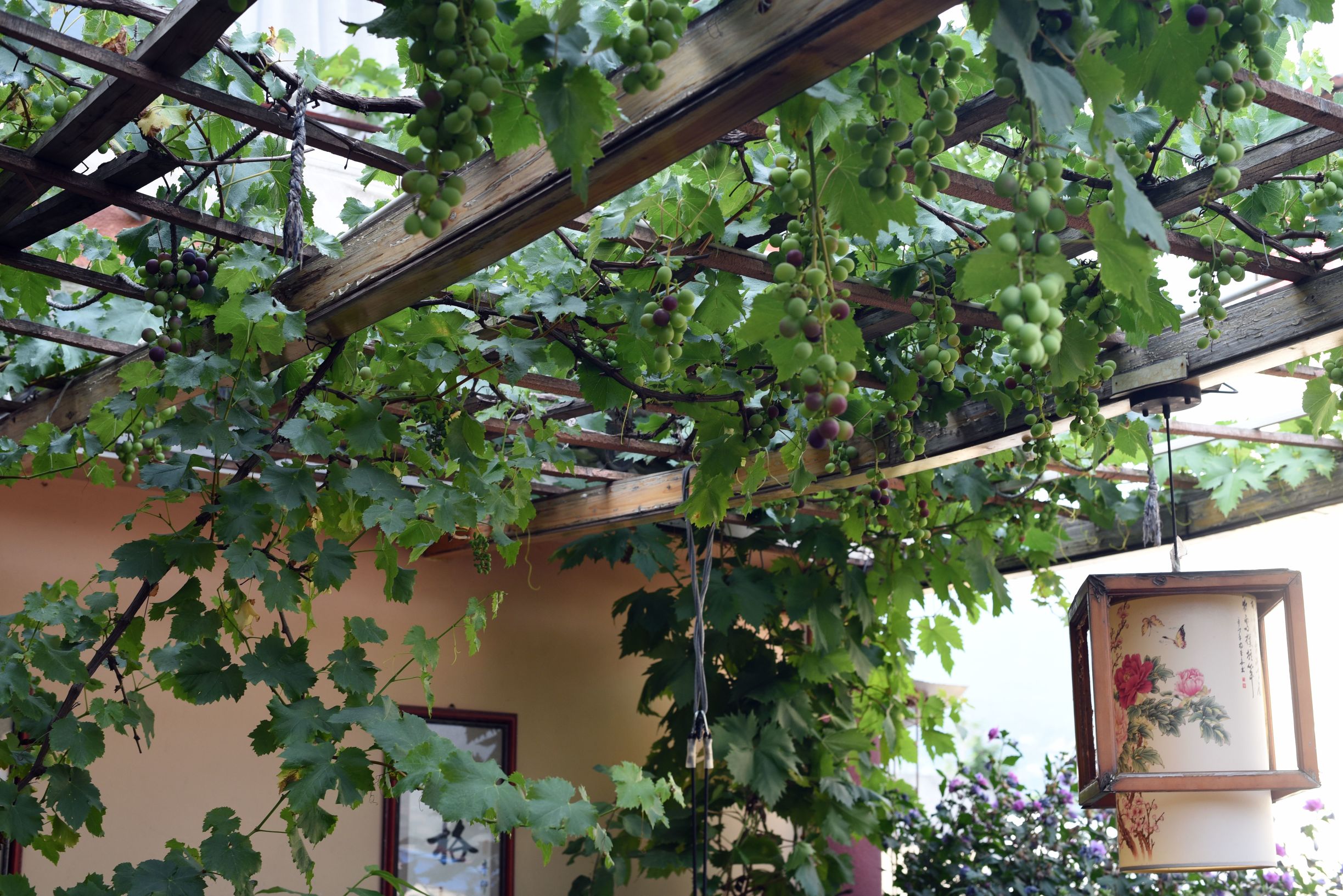 四川阿坝茂县美景,四川茂县简介