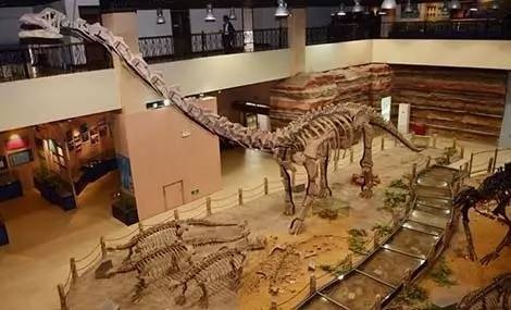 全国唯一的国家级大学博物馆,全国第一家高校博物馆