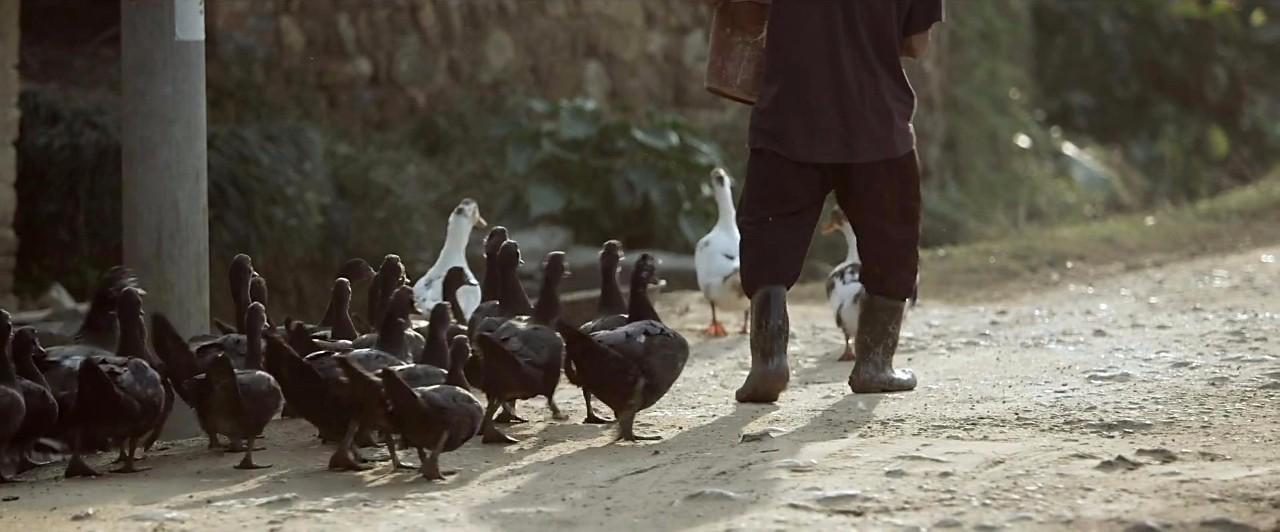 冯小刚吴京爱国电影,吴京舒淇郭富城演的电影