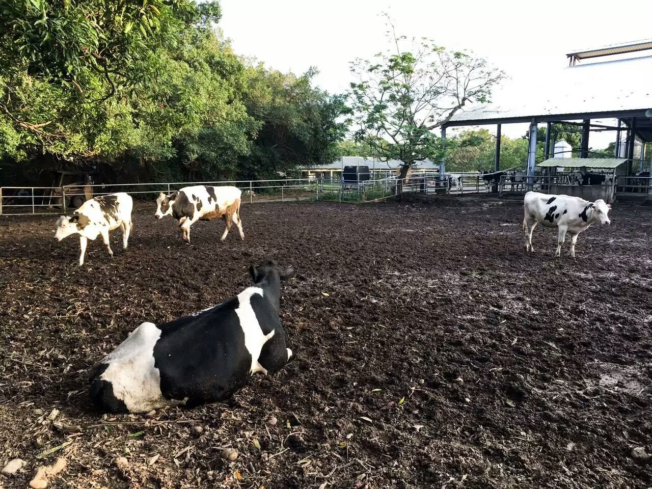 台湾很漂亮的大学,台湾的东海大学值得去吗