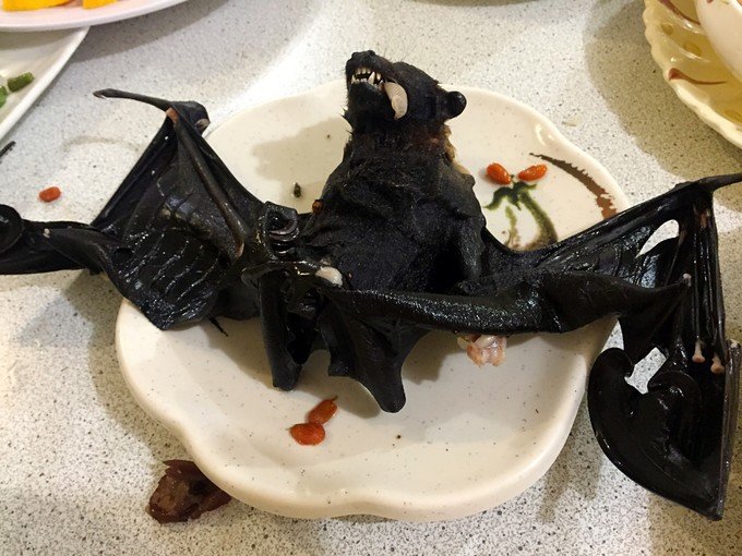 一起去帕劳旅游,去帕劳旅游自由行攻略