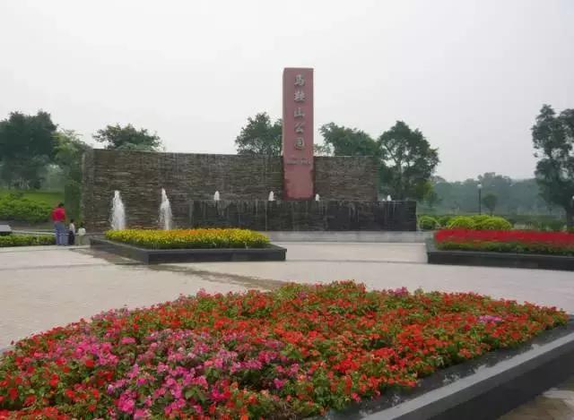 花如此多娇,花都如此多娇全文免费阅读