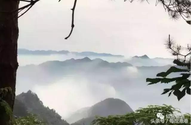 台州的公盂村,浙江省仙居县田市镇公盂村