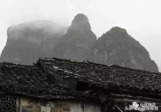 台州的公盂村,浙江省仙居县田市镇公盂村