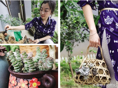 在80万人口城市，可肯定80%人不知道多肉，24岁他年赚十万