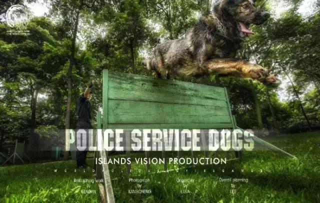 成都警察灌美国12球又赢巴西，这些专业队出来的才是真正的战狼