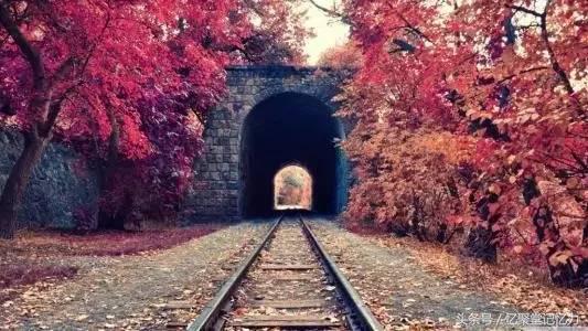 中小学语文文学常识,语文必考文学常识