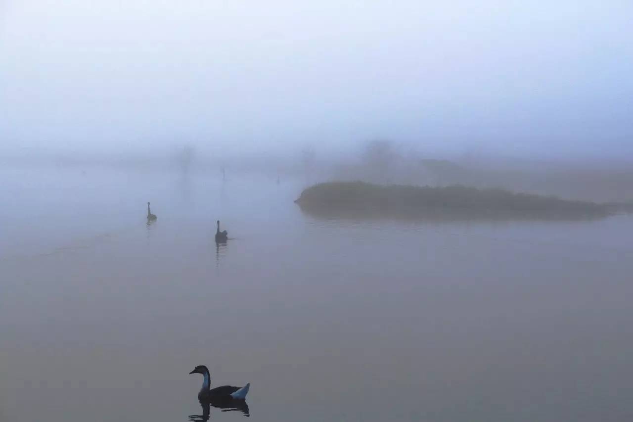 北纬30°神秘之境,在高山草甸、追逐鹿群,这里美的像天堂!
