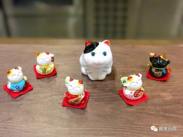 深夜放毒01完整版,深夜放毒巧克力抹茶