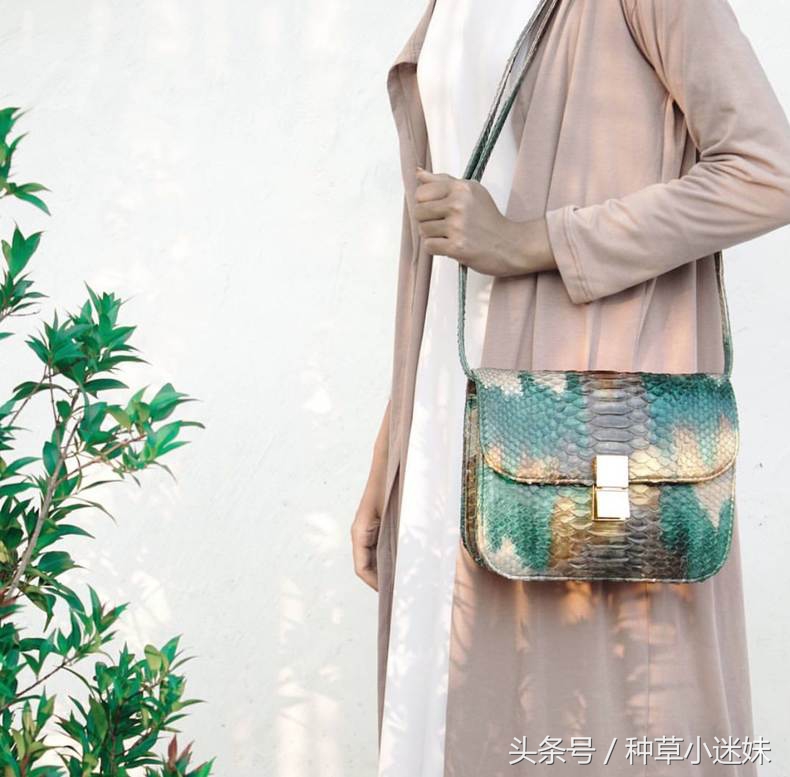 celinebox大红色,celine2018秀