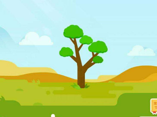 蚂蚁森林如何快速获取绿色能量？这些技巧你不可不知