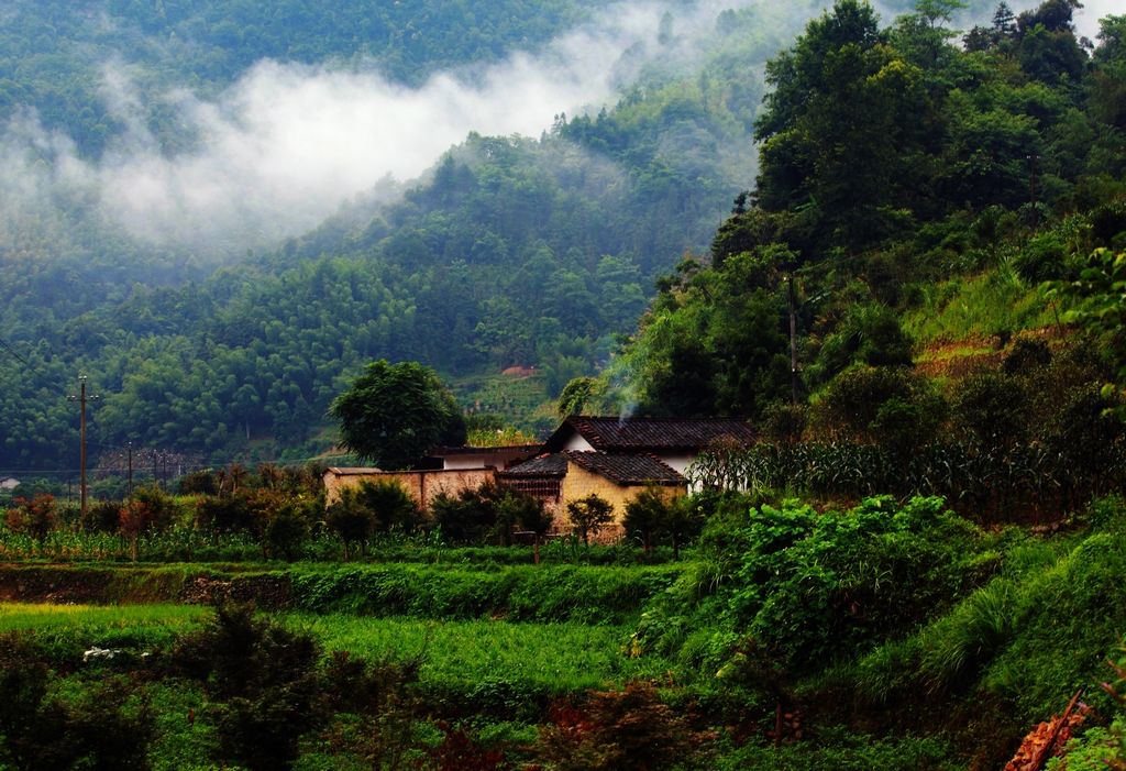 大山里的独户人家致富经,一个贫困山村的致富之路