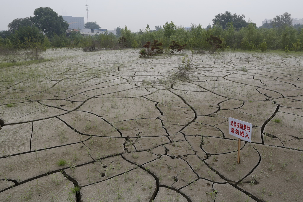 大武汉系列之武汉冶炼厂,大武汉系列之武汉印染厂
