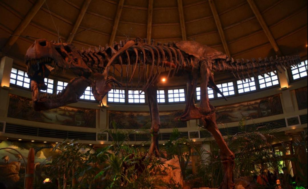 十月一出游去哪里好玩,国庆节8天长假哪里旅游好玩