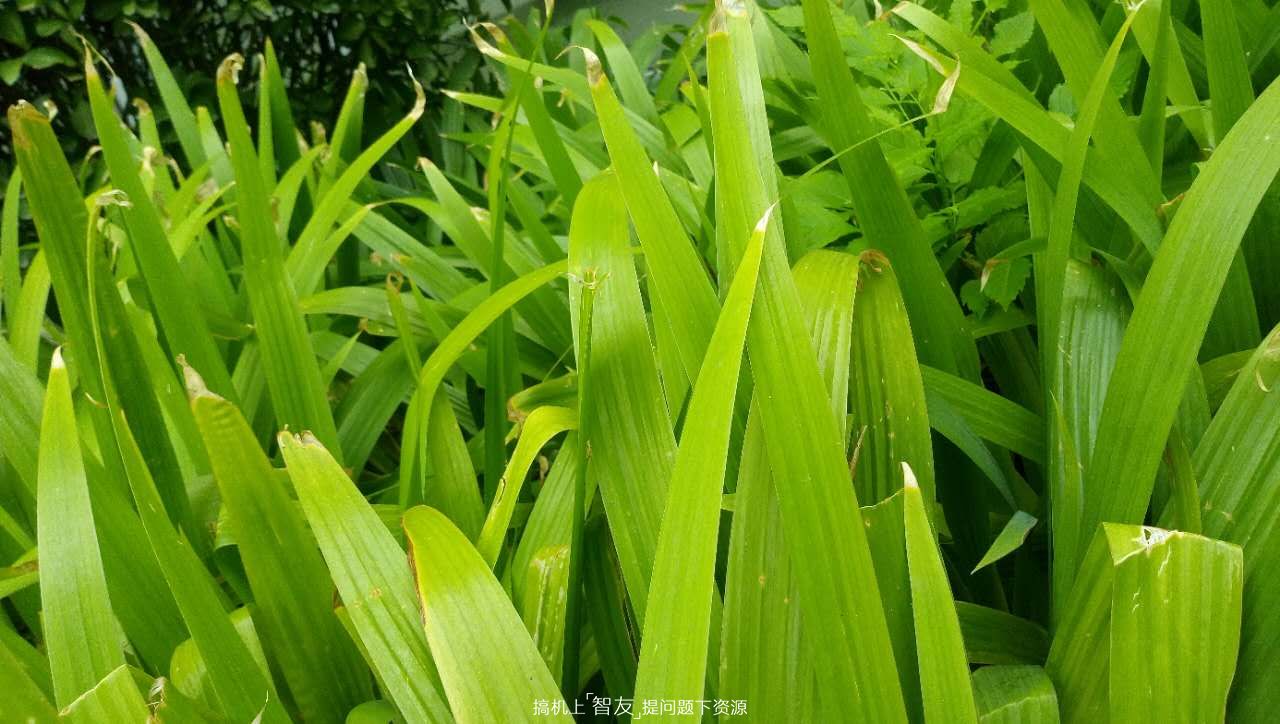 华硕飞马3,华硕飞马4a屏幕