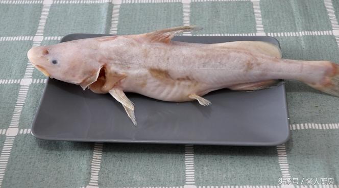 第一次见白丝鱼,第一次见到野生鱼