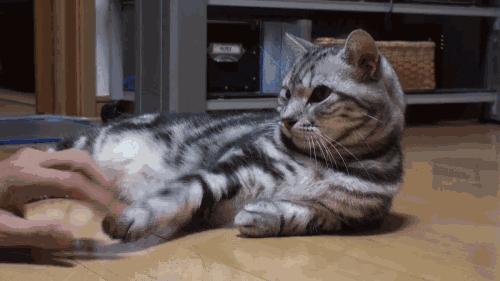 tomford口红推荐色号,tomford口红什么色号好看