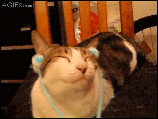 别跟我谈什么梦想我只想躺赢,别跟我谈什么梦想