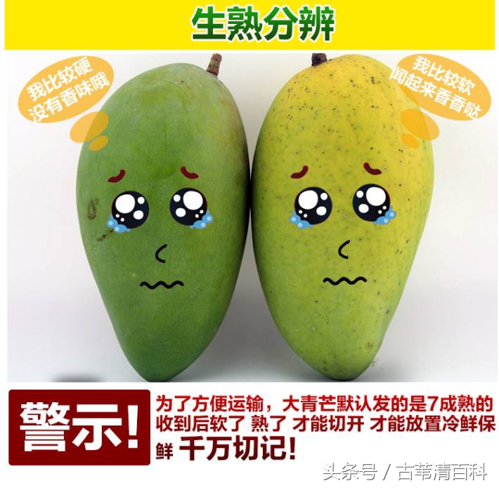 有点青的芒果怎么吃,有青芒蘸酱油的吃法吗