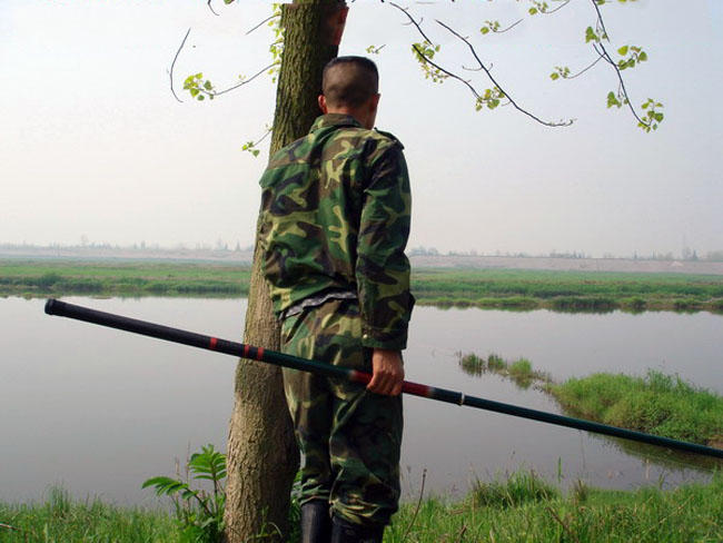 专家说鱼头小孩不能吃,鱼头哪一部分是小孩不能吃的