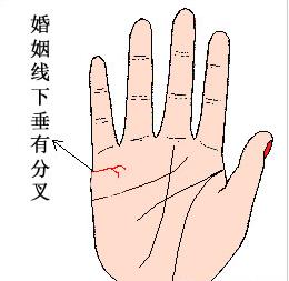 姻缘线断了有什么后果,婚姻线分叉怎么看几段姻缘