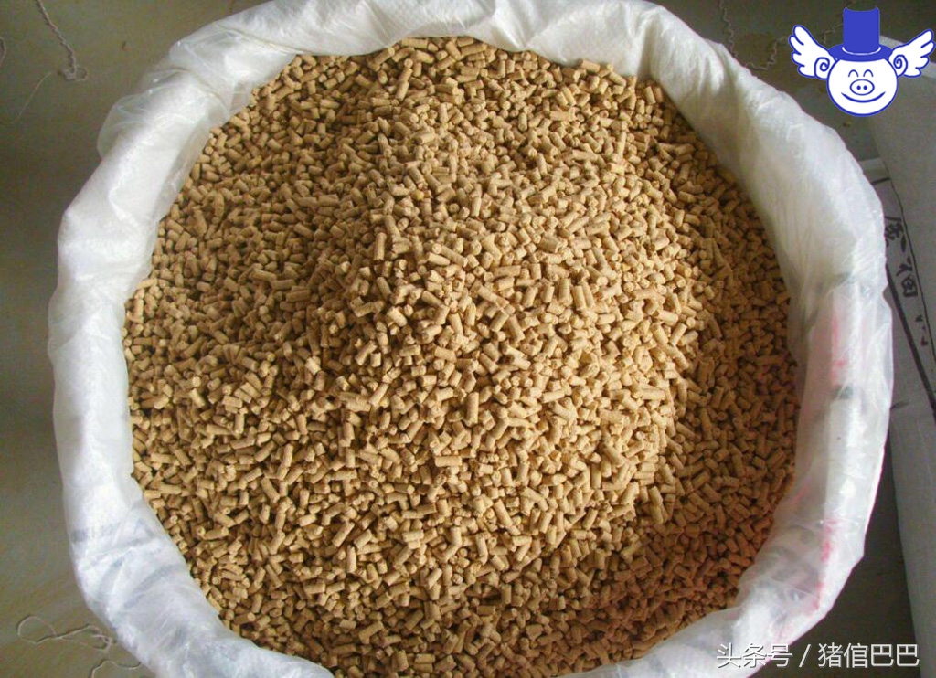 养猪污染的问题能解决吗,养猪如何降低空气污染