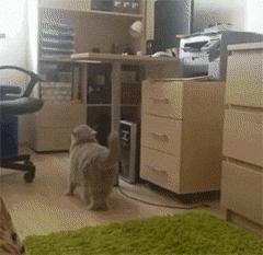 别跟我谈什么梦想我只想躺赢,别跟我谈什么梦想