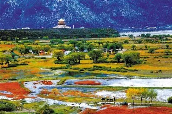 川西最美秋景,四川最美秋景