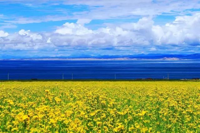 川西最美秋景,四川最美秋景
