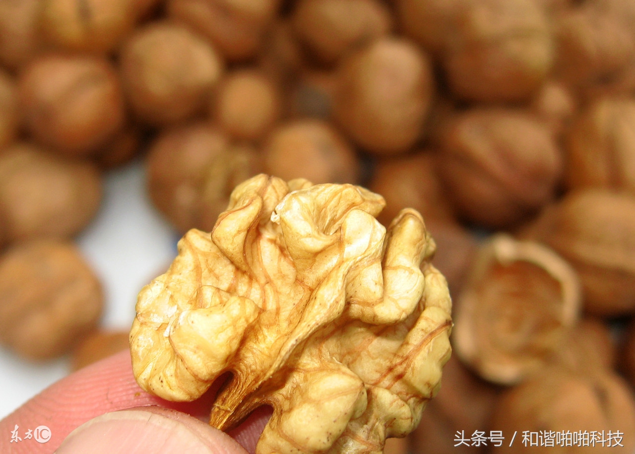 预防疾病的健康长寿食物,4种公认的长寿食物你知道几个