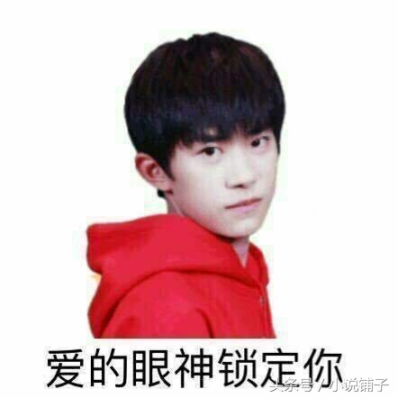 清穿甜宠文推荐经典,很温馨轻松的清穿小说推荐